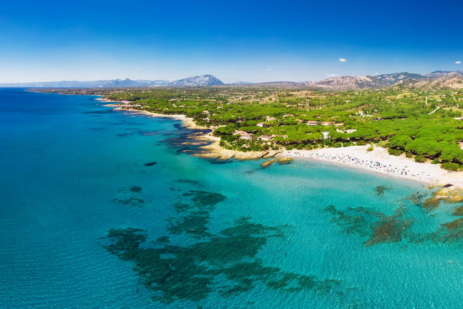 cala_ginepro