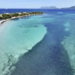 il_pellicano