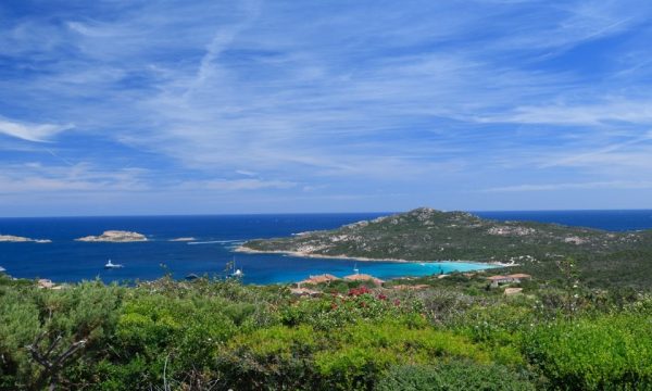 Pantogia vista