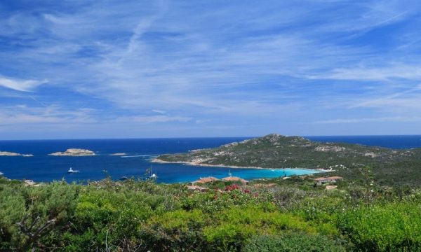 Pantogia vista