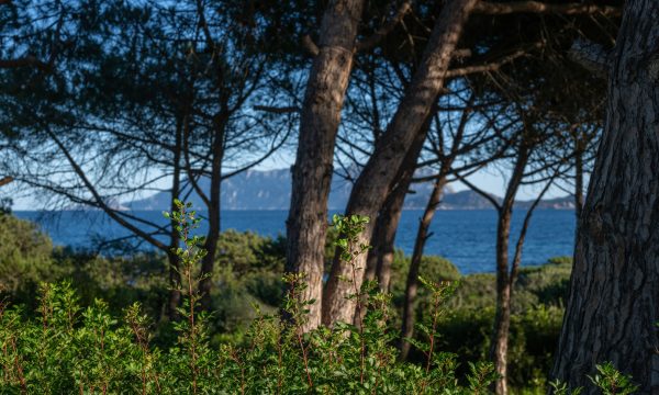 mare_rocce06