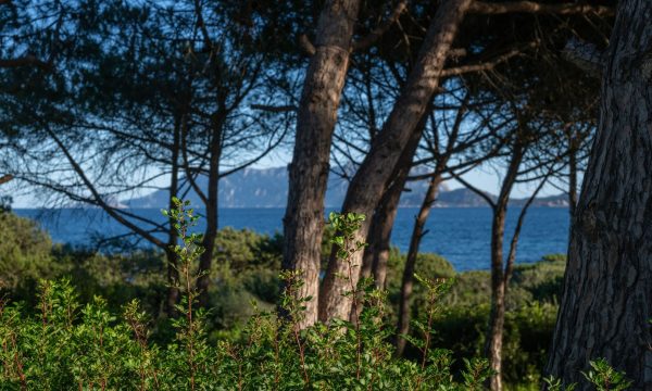 mare_rocce06