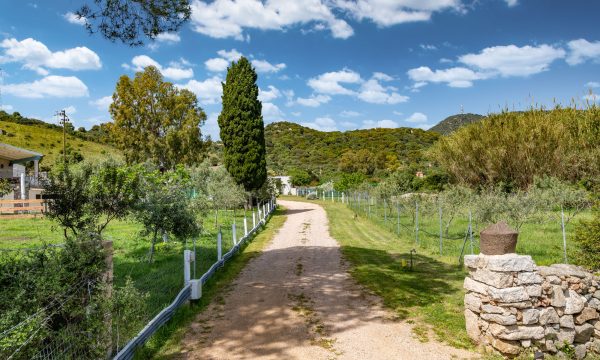 olbia_villa_auri_ingresso