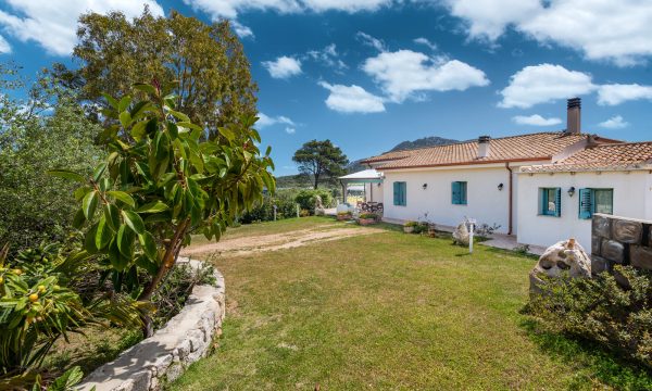 olbia_villa_auri_lato villa