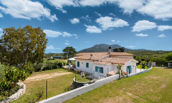 olbia_villa_auri_retro villa
