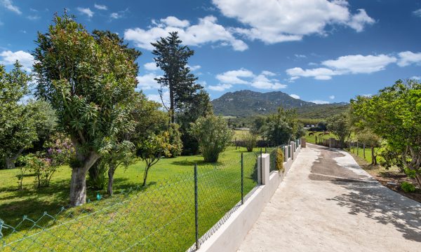 olbia_villa_auri_strada d'accesso