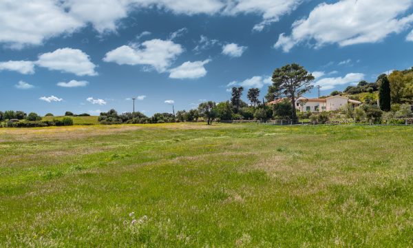 olbia_villa_auri_terreno