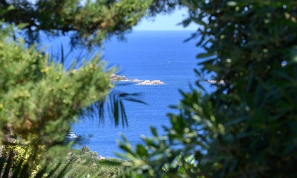 pantogia vista mare